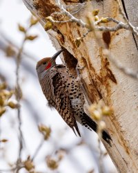 EOS R5_7680-Edit.jpg