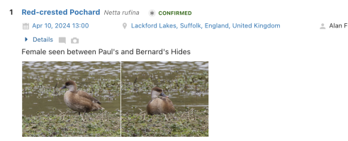 Screenshot 2024-04-16 at 11.29.55.png