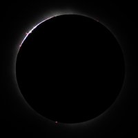 SunEcl BB 1st crop CR7_080436 copy.jpg