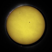 SunEcl BB 1st crop w sun CR7_080436 copy.jpg