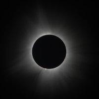 Corona PS  crop CR5_168868 copy.jpg