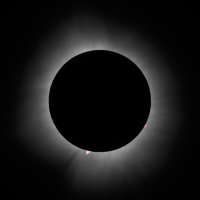 Corona PS crop sm CR7_080768 copy.jpg