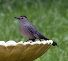 5D3_3070 crop-topaz-sharpen-enhance-2.4x.jpg