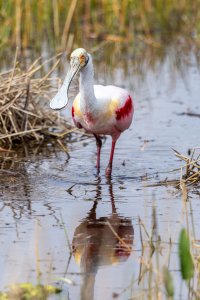 small-0044.jpg small-0044.jpg