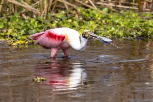 small-0134.jpg small-0134.jpg