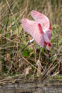 small-0211.jpg small-0211.jpg