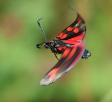 3R3A1197.JPG 3R3A1197.JPG