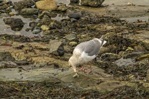 _MG_7489_DxO-topaz.jpg _MG_7489_DxO-topaz.jpg