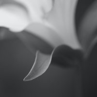 IMG_1452 (3) small.jpg