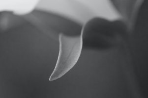 IMG_1452 (1) small.jpg