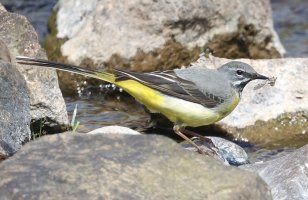 2Y0A4751.jpeg 2Y0A4751.jpeg