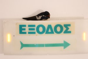 IMG_0530.jpeg IMG_0530.jpeg