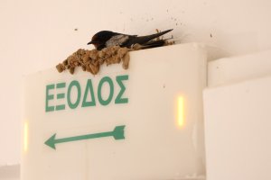 IMG_0529.jpeg IMG_0529.jpeg