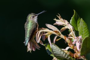 E57A2426-Enhanced-NR-Edit.jpg