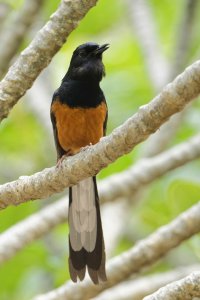 DSC_6478_DxO.jpg