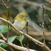 DSC_6555_DxO.jpg