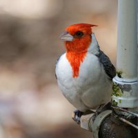 DSC_6767_DxO.jpg