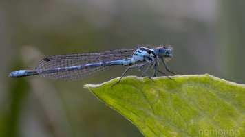 2024-05-30 18-42-53 (B,R8,S4)54.jpg