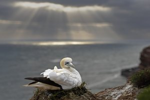 HB 20240602_51A1468_DxO-Bearbeitet.JPG