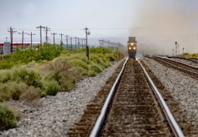 1H7A3645 copy 2 (1).jpeg