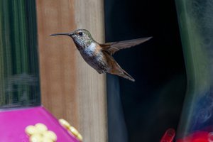 E57A2869-Enhanced-NR-Edit.jpg