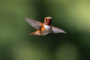 E57A3070-Enhanced-NR-Edit.jpg