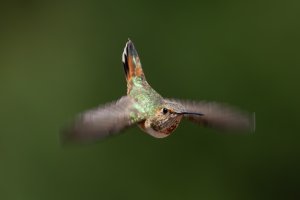 E57A3031-Enhanced-NR-Edit.jpg
