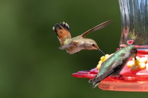 E57A2996-Enhanced-NR-Edit.jpg