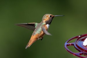 E57A3062-Edit.jpg