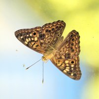 5D3_3531 picasa crop ps3 fix.jpg