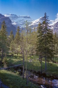 Montreux91 3-Edit.jpg