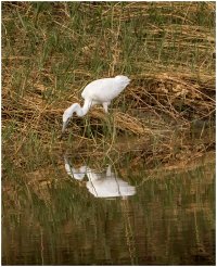 GWE.jpg