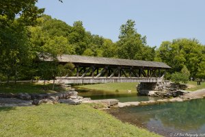 90D_2024-07-15_IMG_0192_DxO_1-3.jpg 90D_2024-07-15_IMG_0192_DxO_1-3.jpg