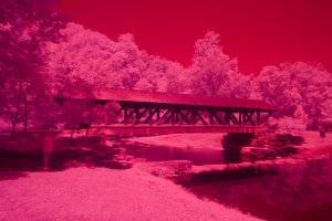 90D_2024-07-15_IMG_0195_DxO.jpg 90D_2024-07-15_IMG_0195_DxO.jpg