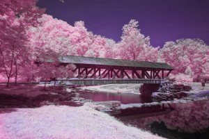 90D_2024-07-15_IMG_0195_DxO_1-1.jpg 90D_2024-07-15_IMG_0195_DxO_1-1.jpg