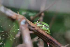 1721106371738.jpeg 1721106371738.jpeg