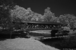 90D_2024-07-15_IMG_0195_ON1_DxO-1.jpg 90D_2024-07-15_IMG_0195_ON1_DxO-1.jpg