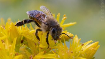 2024-07-27 20-00-03 (B,R8,S4)47.jpg