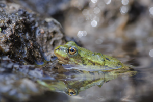 Scherm­afbeelding 2024-07-28 om 11.17.19.png