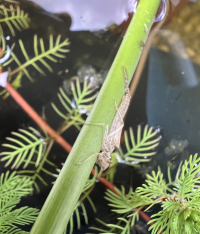 Schermafbeelding 2024-08-10 om 20.11.54.png