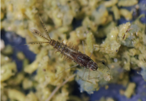 Schermafbeelding 2024-08-10 om 20.07.32.png