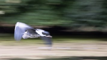 third custom mode.jpg