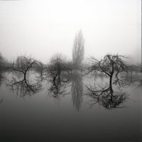 180127 Kühkopf Ilford HP 5 Film 5 Bild 6.jpg