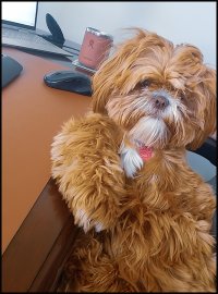 hangin in the office.jpg