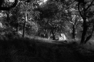 IMG_0063.jpg IMG_0063.jpg