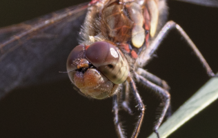 Scherm­afbeelding 2024-09-02 om 13.52.35.png