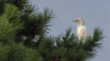 HB 20240831_K7A2650-Bearbeitet.JPG