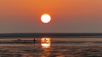 HB 20240831_74A1185_DxO-Bearbeitet.JPG