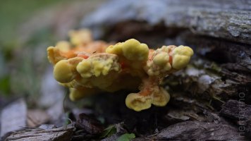 2024-09-08 18-43-03 (C,S4)28.jpg