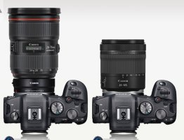 2024-09-12 at 11.56.24.jpeg